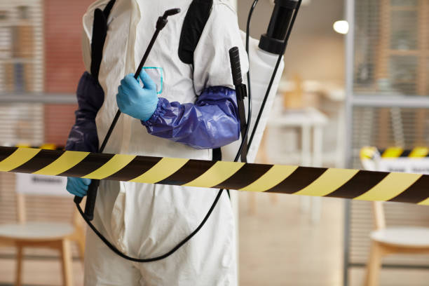 Professional Sewage Cleanup technician working in Gilman, IL